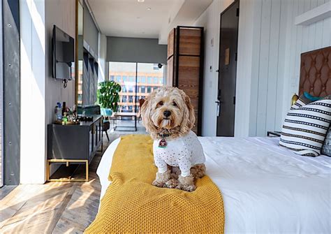 Over 1,200 Pet Friendly Hotels .